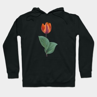 Tulip Hoodie